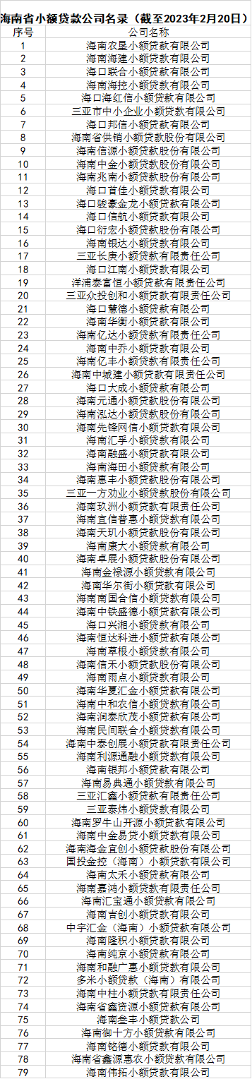 海南小额贷款公司