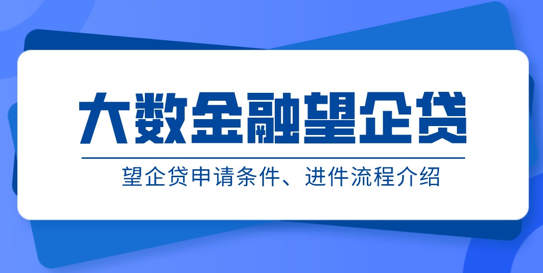 大数望金融企贷