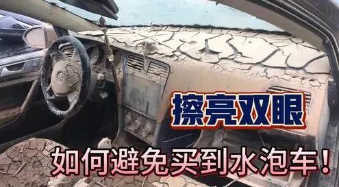 水泡车