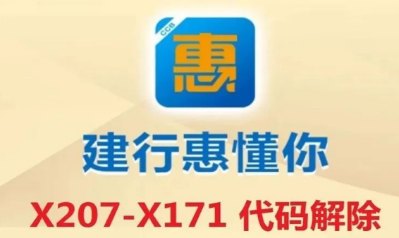 建行惠懂你错误代码X207