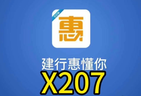 建行惠懂你207