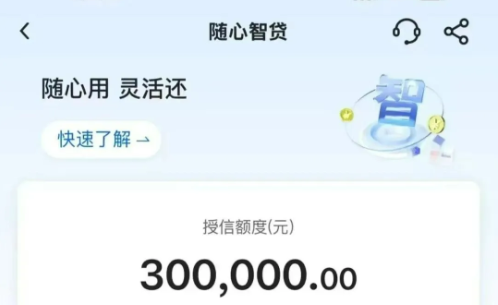 随心智贷