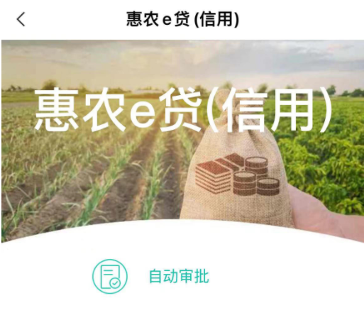 农业银行惠农e贷