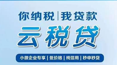 建行云税贷