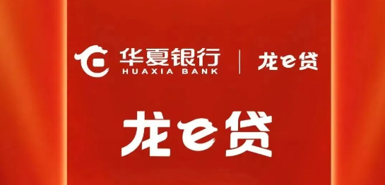 龙e贷