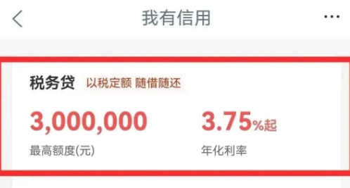 税务贷