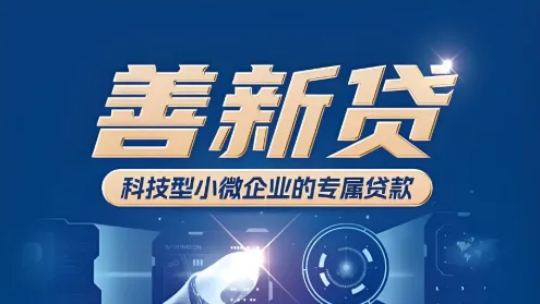 善新贷