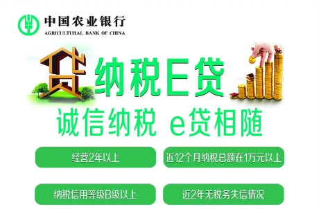 纳税e贷