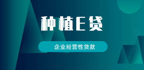 种植e贷