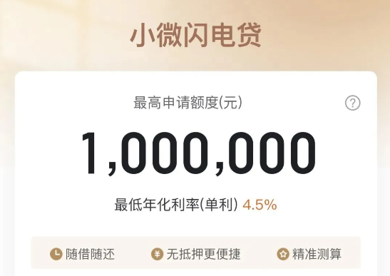 小微闪电贷