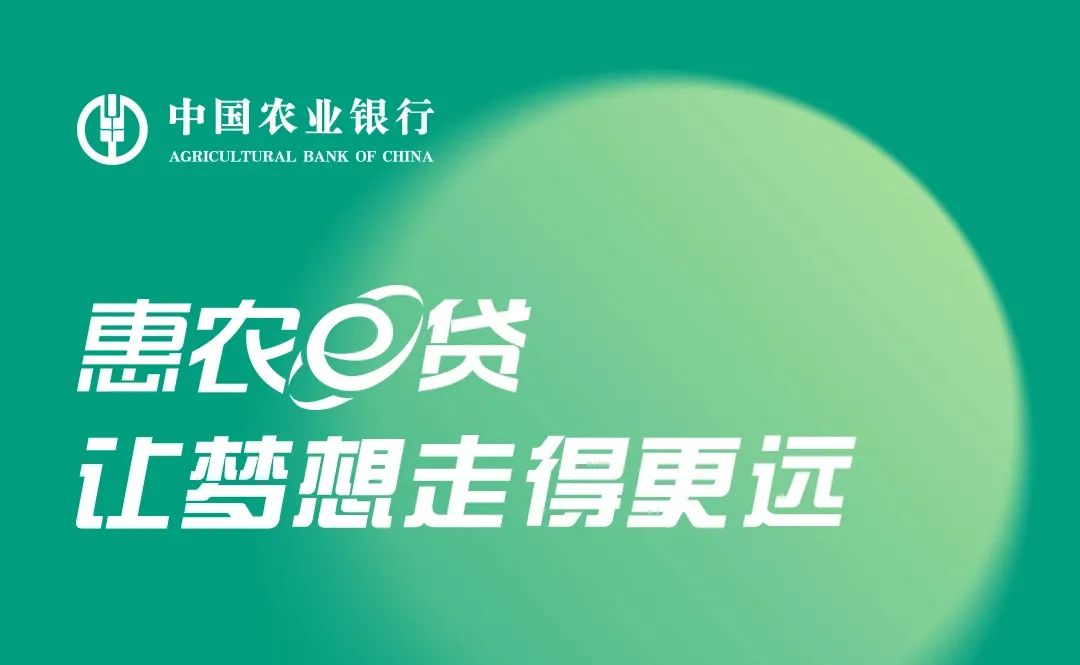 惠农e贷
