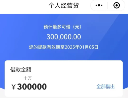 WZ银行商户贷