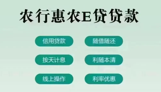 惠农e贷