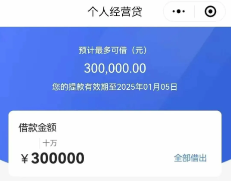 WZ银行商户贷 WZ银行商户贷
