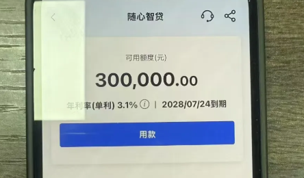 随心智贷 随心智贷