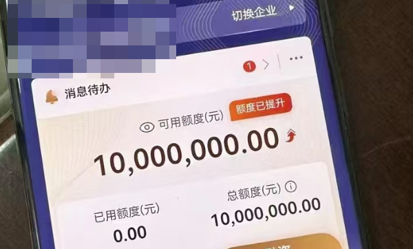 WZ银行应收账款 WZ银行应收账款