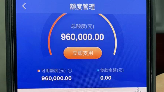 惠闪贷要求宽松征信要求如下  惠闪贷常见问题解答如下