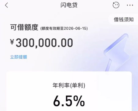 小微闪电贷企业及个体准入  小微闪电贷申请步骤如下