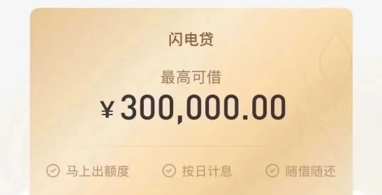闪电贷审批核心依据介绍  闪电贷额度消失解决方法介绍