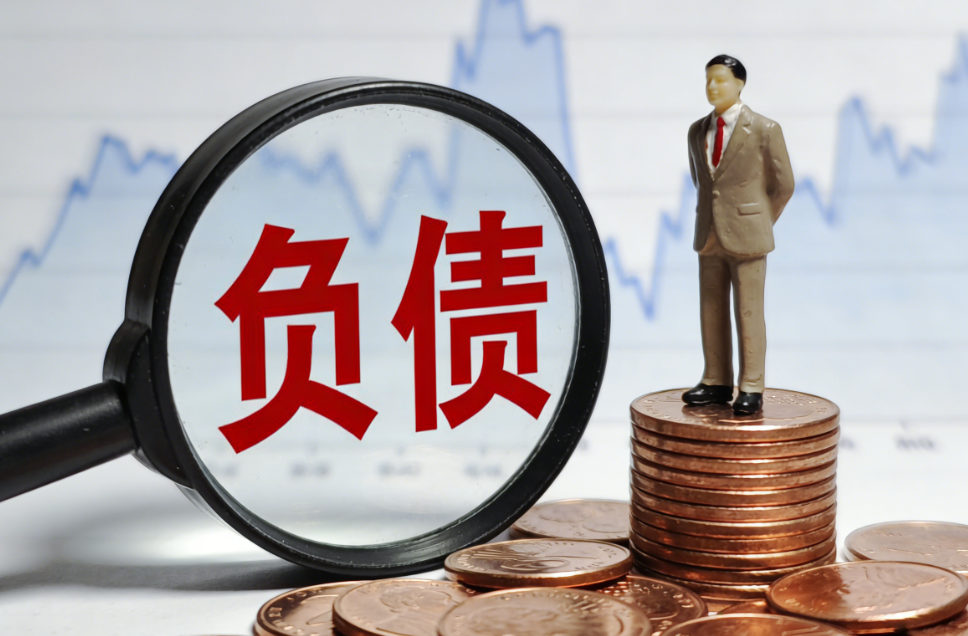 负债 负债
