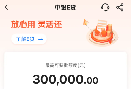 中国银行中银e贷所需材料/申请条件/征信要求/办理流程一览