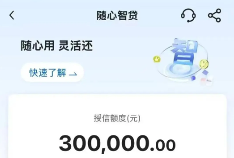 随心智贷